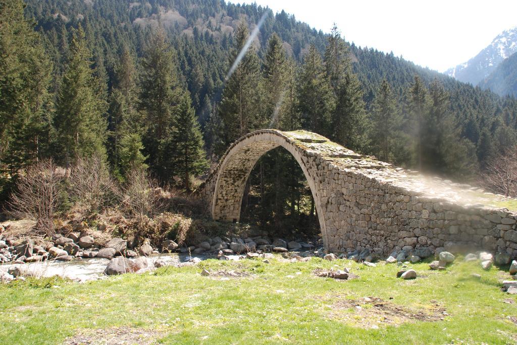 Ayder Umit Hotel Buitenkant foto